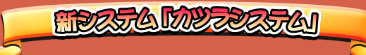新システム「カツラシステム」